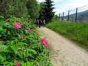 25 Heurtebise