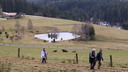 Mardi 4 (49 images)