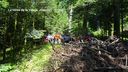 2025-06-17_25-Hetre-de-la-vierge_003.JPG