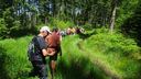 2025-06-17_25-Hetre-de-la-vierge_006.JPG
