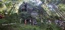 2025-06-17_25-Hetre-de-la-vierge_010.jpg