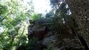 2025-06-17_25-Hetre-de-la-vierge_014.JPG