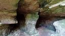 2025-06-17_25-Hetre-de-la-vierge_017.JPG