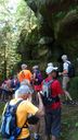 2025-06-17_25-Hetre-de-la-vierge_018.JPG
