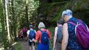 2025-06-17_25-Hetre-de-la-vierge_019.JPG