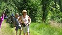 2025-06-17_25-Hetre-de-la-vierge_024.JPG