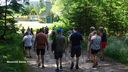 2025-06-17_25-Hetre-de-la-vierge_029.JPG