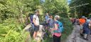 2025-06-17_25-Hetre-de-la-vierge_031.jpg