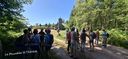 2025-06-17_25-Hetre-de-la-vierge_032.jpg