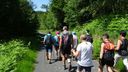 2025-06-17_25-Hetre-de-la-vierge_036.JPG
