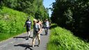 2025-06-17_25-Hetre-de-la-vierge_037.JPG