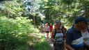 2025-06-17_25-Hetre-de-la-vierge_038.JPG