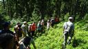 2025-06-17_25-Hetre-de-la-vierge_040.JPG