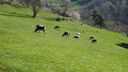 2025-04-12_Reco-Hohrod_007.JPG