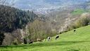 2025-04-12_Reco-Hohrod_008.JPG