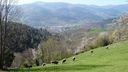 2025-04-12_Reco-Hohrod_009.JPG