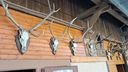 2025-04-12_Reco-Hohrod_018.jpg