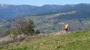 2025-04-12_Reco-Hohrod_038.JPG