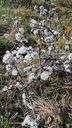 2025-04-12_Reco-Hohrod_040.jpg