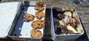 2025-04-12_Reco-Hohrod_063.jpg