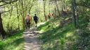2025-04-12_Reco-Hohrod_084.JPG