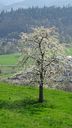 2025-04-12_Reco-Hohrod_085.JPG