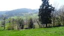 2025-04-12_Reco-Hohrod_087.JPG