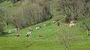 2025-04-12_Reco-Hohrod_090.JPG